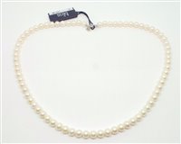 Collar Bliss Mujer Paradise in Perlas 20067227 - 20067227